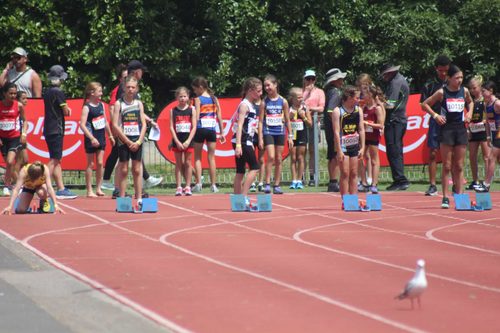 2024 Colgate Games photo